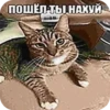 SOskTRi_by_achestickbot 26