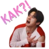 Stray Kids 2.0 23