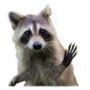 Favorite Sticker by 23