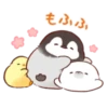 soft and cute penguin 01 21