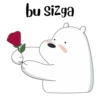 Itsicybear 26