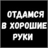 ЛYчьше стикеры - 27