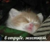 PDdkswRKaChFZjr_by_stickers_stealer_bot 24