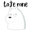 Itsicybear 28