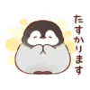 soft and cute penguin 01 26