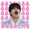 Stray Kids 2.0 27
