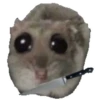 Hamster @anime4_arts 5