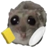 Hamster @anime4_arts 6