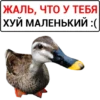 Favorite Sticker by 10
