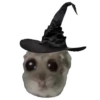 Hamster @anime4_arts 9