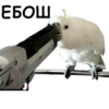 ЕБОШ