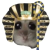 Hamster @anime4_arts 12
