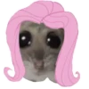 Hamster @anime4_arts 13