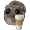 Hamster @anime4_arts 14