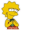 TripTank.family 12