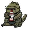 Rainbow six 9