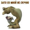 Ленивец Сид :: 8