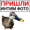 Favorite Sticker by 14
