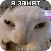 FGjytPG_by_achestickbot 17