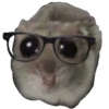 Hamster @anime4_arts 15