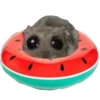 Hamster @anime4_arts 16