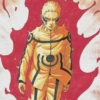 Naruto/Boruto 23