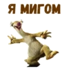 Ленивец Сид :: 13