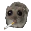 Hamster @anime4_arts 18