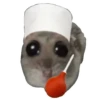 Hamster @anime4_arts 20