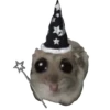 Hamster @anime4_arts 21