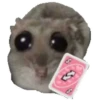 Hamster @anime4_arts 23
