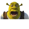 shrek 8
