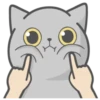 Favorite Sticker by 26