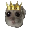 Hamster @anime4_arts 26