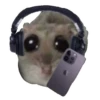 Hamster @anime4_arts 27