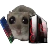 Hamster @anime4_arts 30