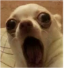 My reactions ( ) 30