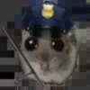 Sad hamster 8