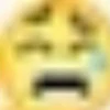 compressed funny XD 6