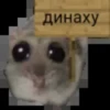 Sad hamster 9