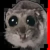 Sad hamster 11