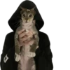 cats 9