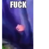 FUCK