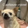 Создай стики 👉 11
