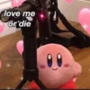 love me or die