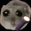 Sad hamster 12