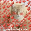 Cборник от канала @sad_anima by 15