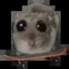 Sad hamster 13