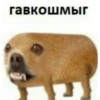 Саймон говорит 16