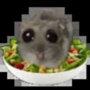 Sad hamster 17